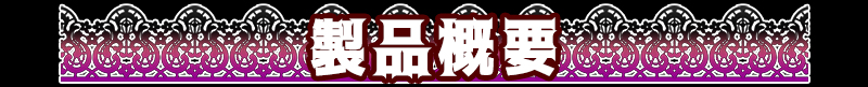 製品概要